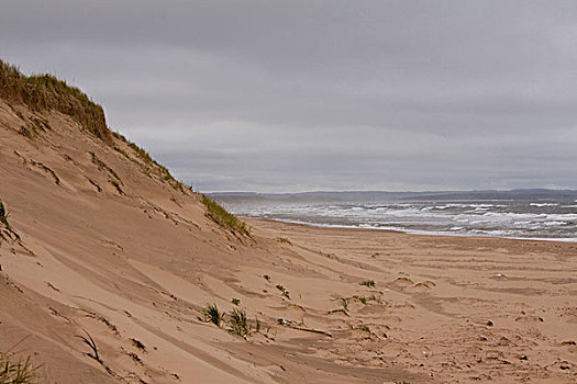 沙丘,海洋,爱德华王子岛,国家公园,北岸,加拿大