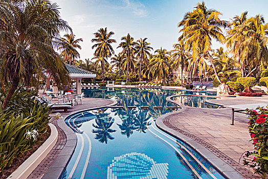 椰树泳池