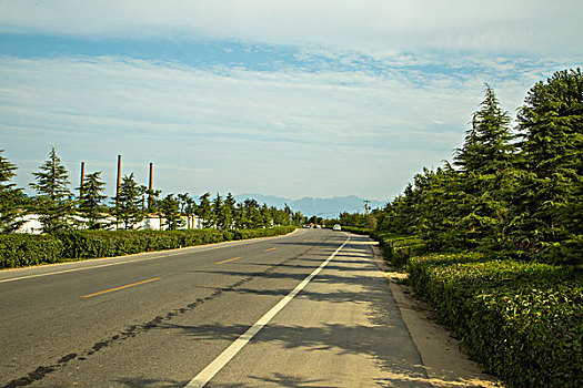 道路