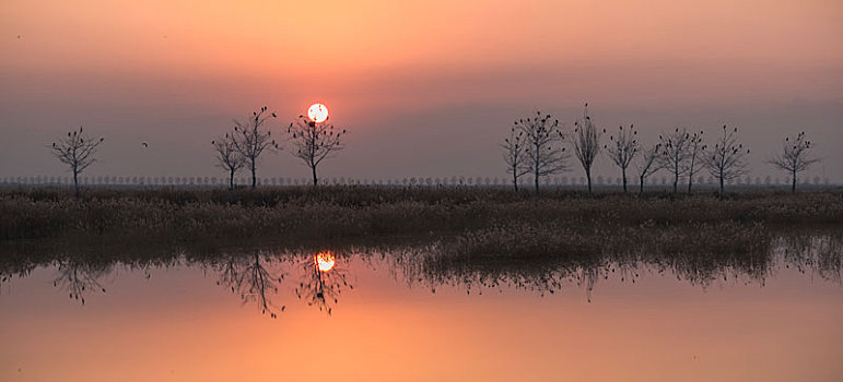 沙湖农场,沙湖景区