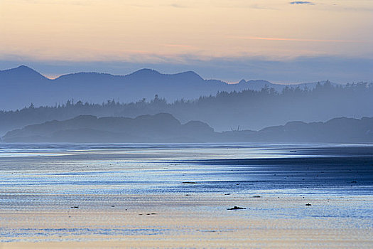 海灘,山巒,背景,長灘,環太平洋國家公園,自然保護區,溫哥華島,不列顛哥倫比亞省,加拿大