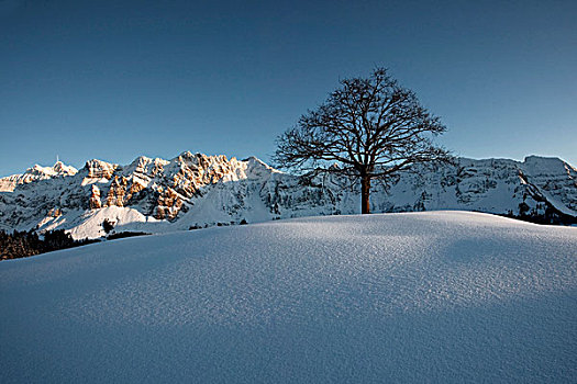 山,冬天,风景,清新,雪,山丘,阿彭策尔,瑞士,欧洲