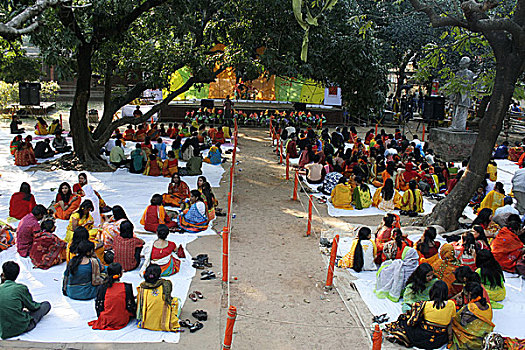文化,标记,节日,艺术,达卡,大学,孟加拉,二月,2008年