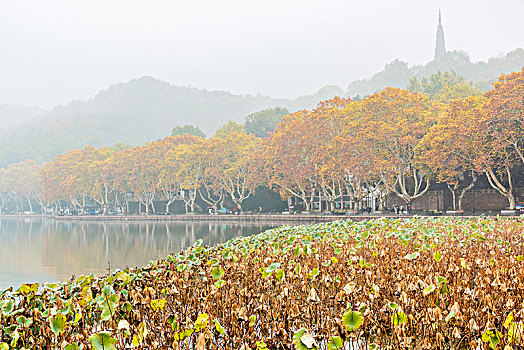 杭州,西湖秋景