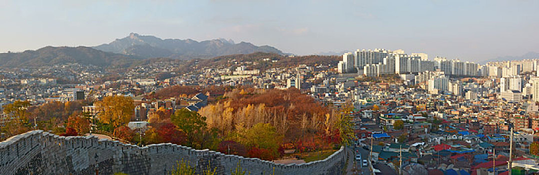 首尔的其秋天