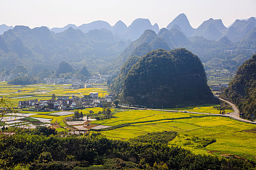 万峰林春色