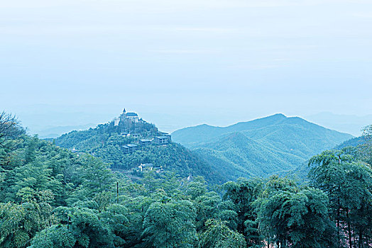 绿色植物,山