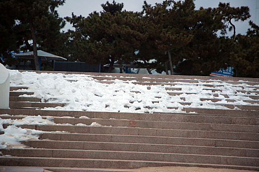 山东省日照市,雪后冬泳挑战自我,海边,潮人,无惧严寒