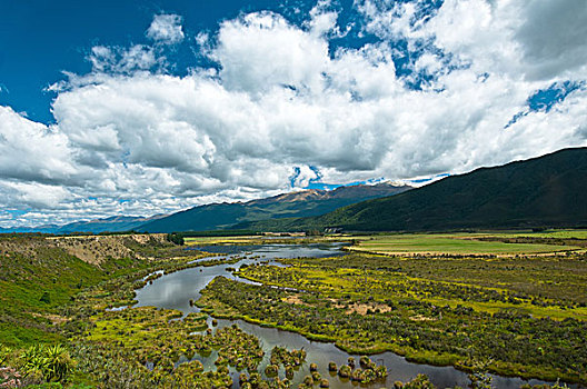 河,湿地,南,新西兰