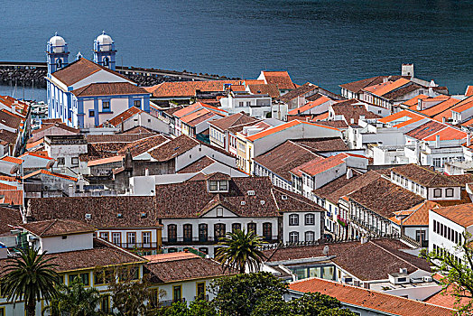 葡萄牙,亚速尔群岛,岛屿,城镇景色,教堂