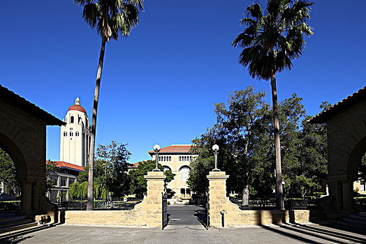 斯坦福大学