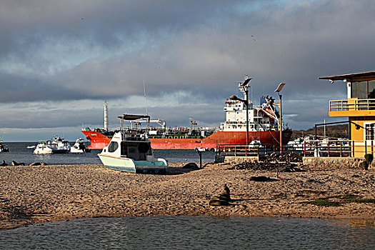 港口,圣克里斯托瓦尔,加拉帕戈斯