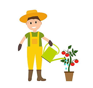 农民,园丁,男人,洒水壶,番茄植物,现代,公寓,风格,矢量,插画