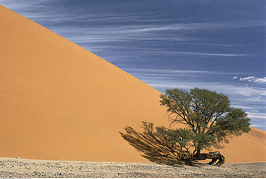 纳米比亚,非洲