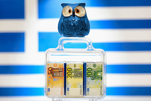 猫头鹰,手提箱,满,钱,正面,希腊国旗,象征,欧盟,希腊