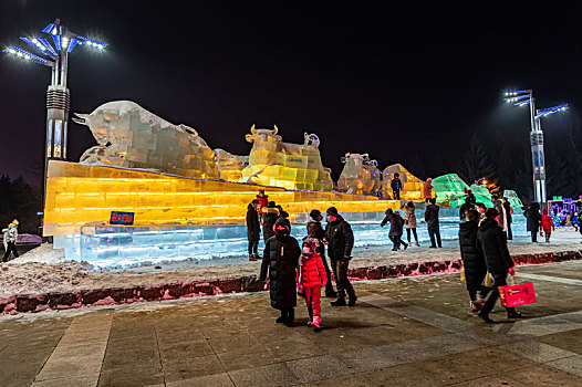 中国长春市长春公园新春冰灯游园会景观