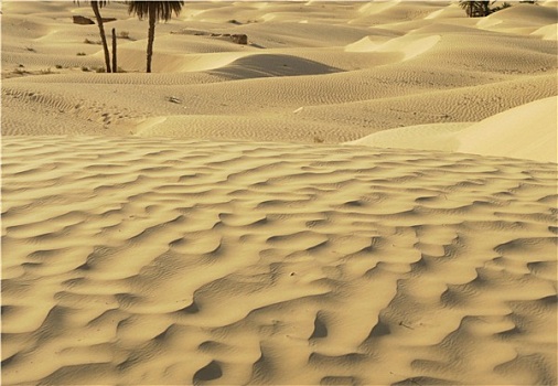 沙子,沙漠
