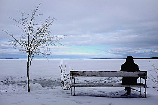 后视图,一个人,坐,长椅,冬天,看,上方,积雪,冰冻,湖