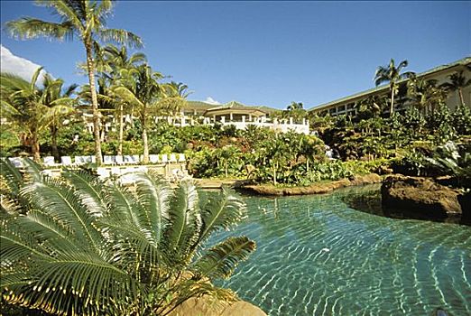 夏威夷,考艾岛,南,岸边,坡伊普,海滩,游泳池