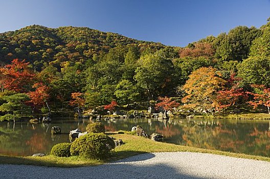 水塘,京都,日本