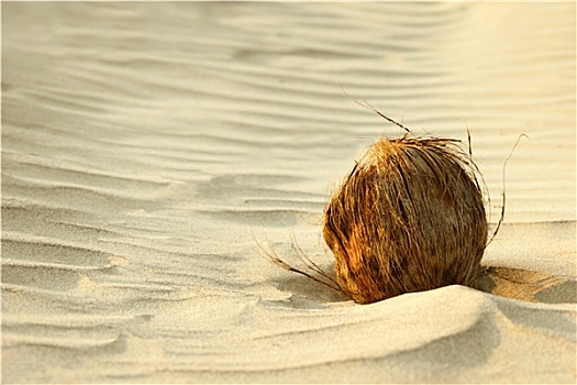椰树,沙滩