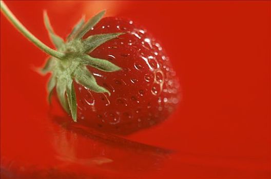 草莓,红色背景