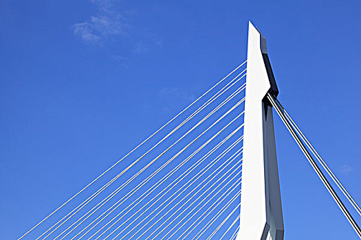 斜拉桥,桥,码头,伊拉斯谟斯桥,鹿特丹,科普范祖伊德,荷兰,欧洲