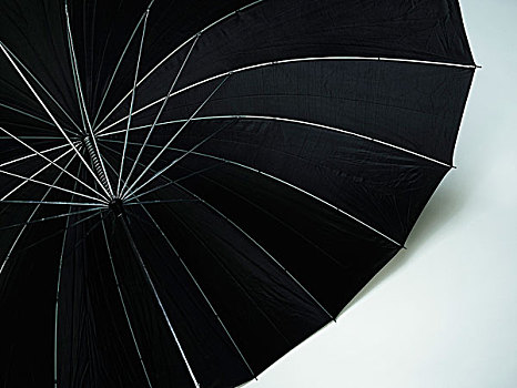 黑色,伞