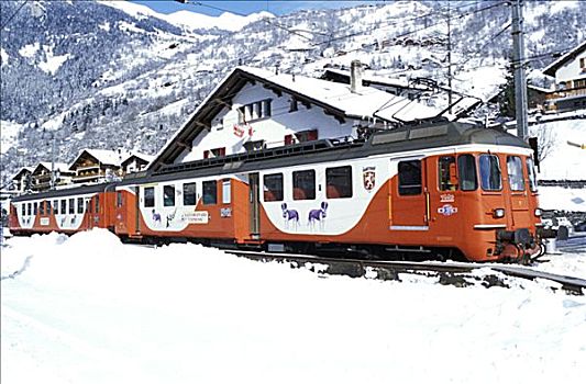 瑞士,瓦莱,圣伯纳犬,高速列车,火车站