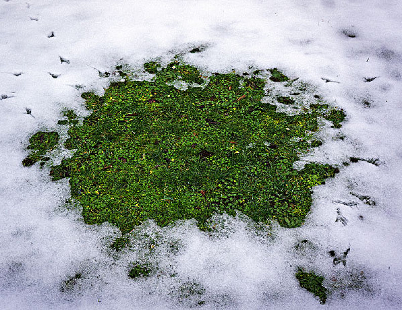 雪_融化_圖片素材