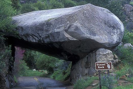 信息指示,正面,石头,隧道,红杉国家公园,加利福尼亚,美国