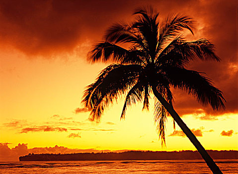 美国,夏威夷,毛伊岛,彩色,日落,热带天堂