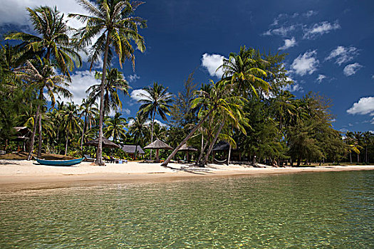 海滩,椰树,越南,亚洲