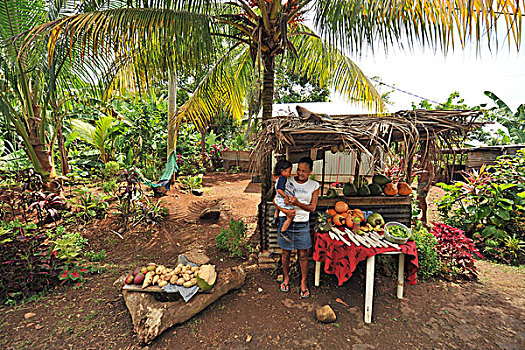 dominica,carib,territory,mother,and,daughter,selling,vegetables,coconut