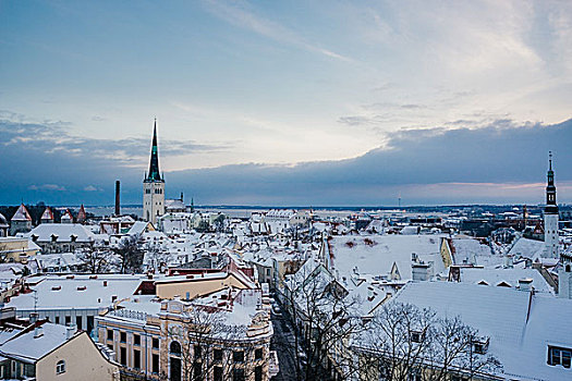 冬天,城市,塔林,老城,日出,爱沙尼亚