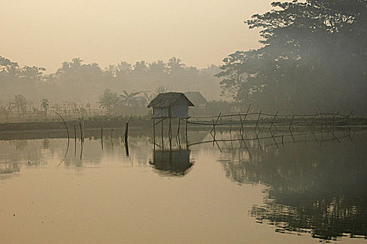 乡村风光,冬天,库尔纳市,孟加拉,一月,2008年