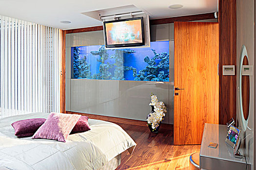 床,散落,垫子,紫色,苍白,毯子,鱼缸,墙壁,现代,卧室