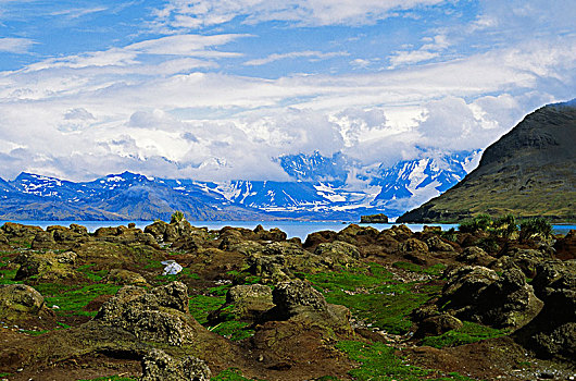 风景,积雪,山,背景