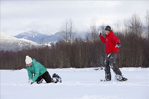 伴侣,穿,雪鞋,打雪仗,不列颠哥伦比亚省,加拿大