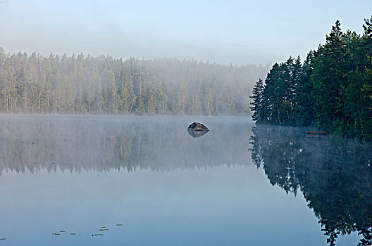 瑞典,湖,晨雾