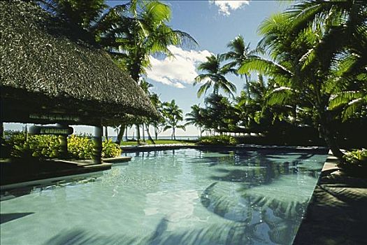 游泳池,正面,房子,斐济