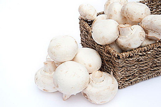 新鲜,洋蘑菇,蘑菇,乡村,编织物,篮子,隔绝,白色背景,背景