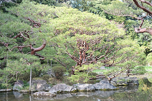 京都平安神宫