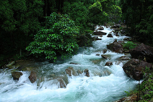 小溪,溪流