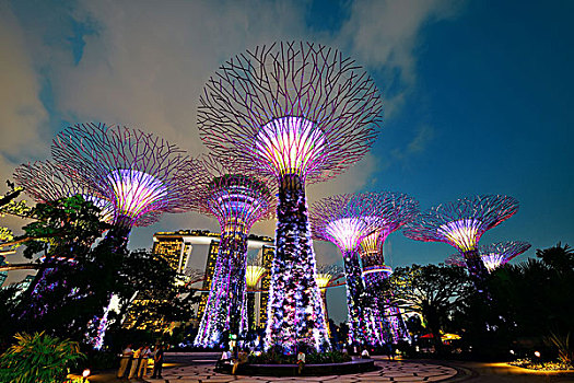 新加坡,花园,湾,树,四月,局部,政府,策略,品质,生活,绿色植物,植物