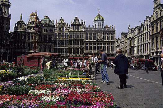 欧洲,比利时,布鲁塞尔,城市广场,花,货摊