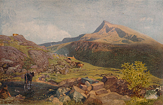 山,19世纪,艺术家,阿尔佛雷德,猎捕