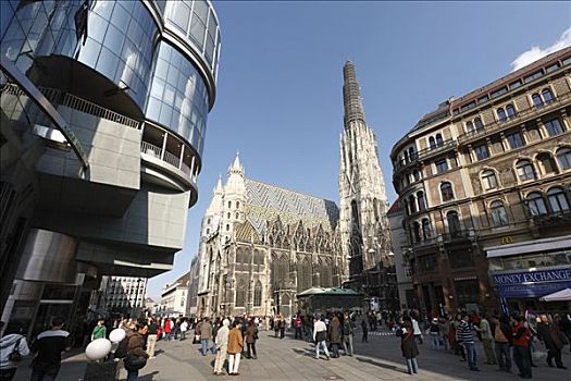 圣斯特凡大教堂,大教堂,左边,维也纳,奥地利,欧洲