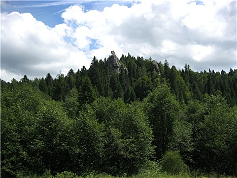 树林,喀尔巴阡山脉地区