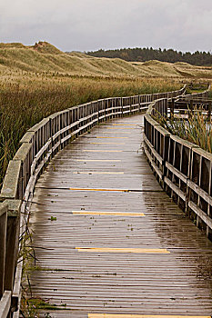 沙丘,小路,爱德华王子岛,国家公园,北岸,加拿大